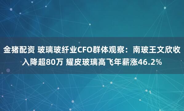 金猪配资 玻璃玻纤业CFO群体观察：南玻王文欣收入降超80万 耀皮玻璃高飞年薪涨46.2%