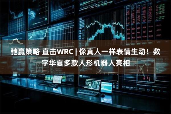 驰赢策略 直击WRC | 像真人一样表情生动！数字华夏多款人形机器人亮相