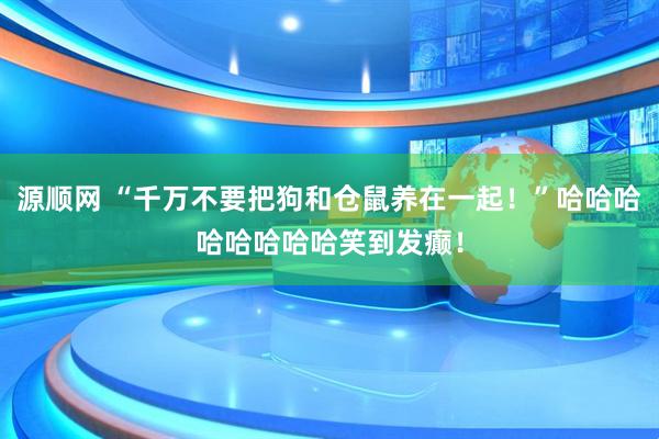 源顺网 “千万不要把狗和仓鼠养在一起！”哈哈哈哈哈哈哈哈笑到发癫！